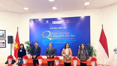 70 ປີ​ແຫ່ງ​ການ​ພົວ​ພັນ​ມິດ​ຕະ​ພາບ​ຫວຽດ​ນາມ - ອິນ​ໂດ​ເນ​ເຊຍ ຜ່ານ​ທັດ​ສະ​ນະ​ພາບ​ຖ່າຍ