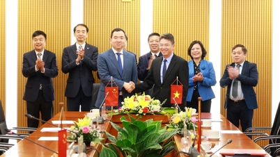VIMC et le groupe portuaire du golfe du Tonkin ont signé un accord de coopération stratégique visant à promouvoir la connectivité portuaire et logistique entre le Vietnam et la Chine.