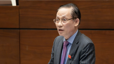 Bộ trưởng Ngoại giao: "Mỗi người dân là một cột mốc biên giới sống"