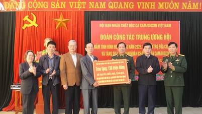 Wietnamskie Stowarzyszenie Ofiar Agent Orange/Dioksyn zapewnia wsparcie w postaci napraw domów i darowizn w prowincji