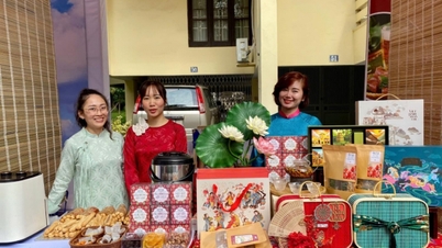 Levando a 'essência' de Hai Phong para o Festival Internacional de Gastronomia e Cultura de 2025.