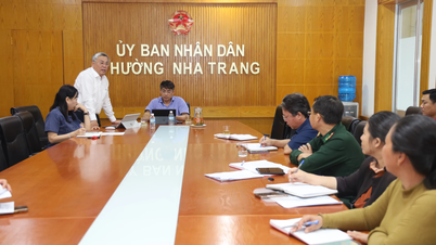 Los distritos de Nha Trang y Nha Trang Sur preparan vehículos y fuerzas para responder a la tormenta n.º 15