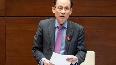 Law on International Treaties: Simplifying procedures but ensuring strictness, enhancing supervision and integration effectiveness