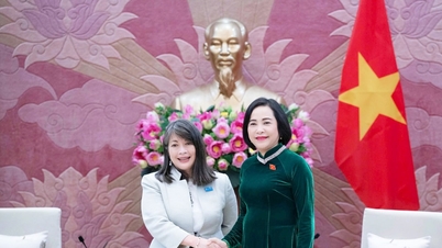 ທ່ານ​ນາງ​ຮອງ​ປະ​ທານ​ສະ​ພາ​ແຫ່ງ​ຊາດ ຫງວຽນ​ທິ​ແທ່ງ ໄດ້​ໃຫ້​ການ​ຕ້ອນ​ຮັບ​ທ່ານ​ຜູ້​ອຳ​ນວຍ​ການ​ອົງ​ການ UNICEF ພາກ​ພື້ນ​ອາ​ຊີ​ຕາ​ເວັນ​ອອກ ແລະ ປາ​ຊີ​ຟິກ.