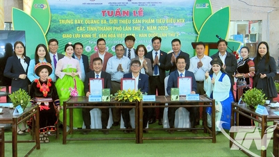 Thai Nguyen verbindt vraag en aanbod van coöperatieve producten en economische uitwisseling tussen Vietnam en Korea