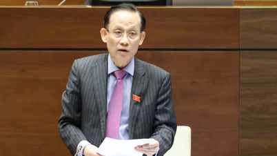 The establishment of representative offices of the People's Committee abroad is not a mandatory mechanism.