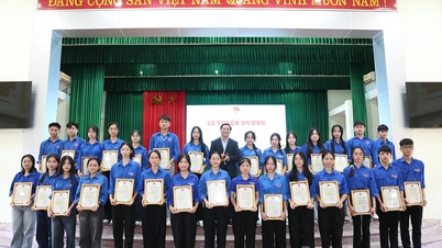 Tuyen Quang nagradza „3 dobrych uczniów”, „5 dobrych uczniów”, „wybitnych młodych nauczycieli” i „wybitne młode rodziny”