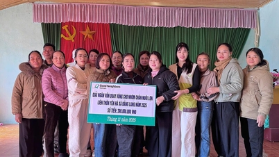 Χορήγηση κεφαλαίου 750 εκατομμυρίων VND για την υποστήριξη της ανασυγκρότησης του ζωικού κεφαλαίου στην κοινότητα Bang Lang