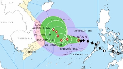Η καταιγίδα Νο. 15 ενισχύεται στο επίπεδο 10, οι ριπές ανέμου στο επίπεδο 12, ενώ προβλέπονται δύο σενάρια για την πορεία της καταιγίδας.