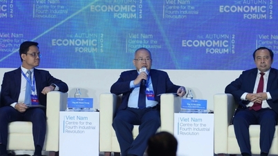 অর্থ মন্ত্রণালয়: পরিবেশবান্ধব উন্নয়নের জন্য ৮ মিলিয়ন বিলিয়ন ভিয়েতনামি ডং মূলধন সংগ্রহ করা হচ্ছে