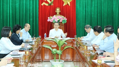 Må spesifisere effektiviteten av konsulent- og støtteaktiviteter for oppstartsbedrifter