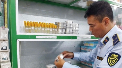 Ho Či Minovo Město zahájilo rozsáhlý zásah proti padělanému zboží a odhalilo 348 porušení předpisů.