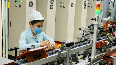 Developing Vietnam's supporting industry: Gradually transforming from processing to becoming a strategic link in the global supply chain