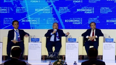 וייטנאם זקוקה לכ-28 מיליארד דולר לשינוי ירוק עד 2030