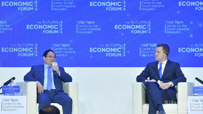 การเปลี่ยนแปลงสีเขียวและการเปลี่ยนแปลงทางดิจิทัลเป็นปัจจัยพื้นฐานสองประการที่ก่อให้เกิดแนวโน้มที่หลีกเลี่ยงไม่ได้และไม่สามารถย้อนกลับได้