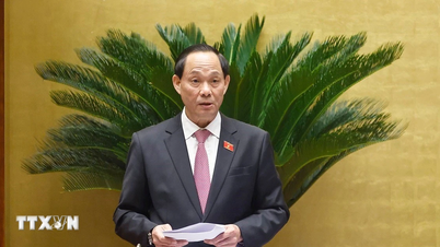 জাতীয় পরিষদের সভা: আন্তর্জাতিক চুক্তি বাস্তবায়নে ডিজিটাল রূপান্তর