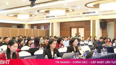 250 officers were trained in foreign information and grassroots information.