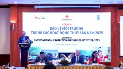 Zvyšování standardů mořského prostředí v odvětví rybolovu