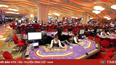 السماح للفيتناميين المؤهلين بلعب ألعاب الكازينو في بعض مشاريع أعمال الكازينو