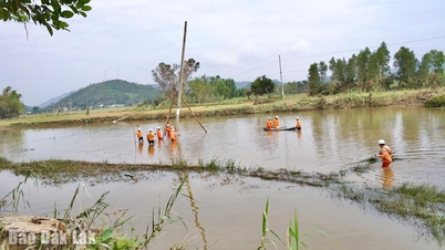 Proactively respond and ensure safety of hydroelectric dams and power systems.