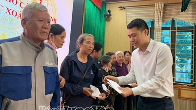 Thai Thuy Commune: Providing support to households severely damaged by tornadoes