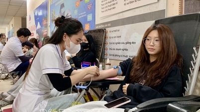 Πανεπιστήμιο Τεχνικής Εκπαίδευσης Hung Yen: Πάνω από 500 άτομα συμμετείχαν στο πρόγραμμα εθελοντικής αιμοδοσίας