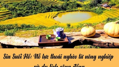 ইনফোগ্রাফিক: সিন সুই হো কৃষি এবং কমিউনিটি পর্যটনের মাধ্যমে দারিদ্র্য থেকে মুক্তির চেষ্টা করছেন