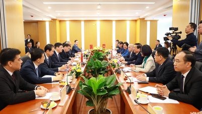 Debate sobre el contenido de la cooperación en la conexión de la infraestructura de transporte entre Vietnam y Guangxi