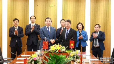 تعزيز التعاون وربط البنية التحتية للنقل بين فيتنام وقوانغشي