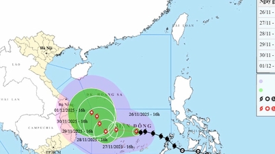 Perbedaan badai nomor 15