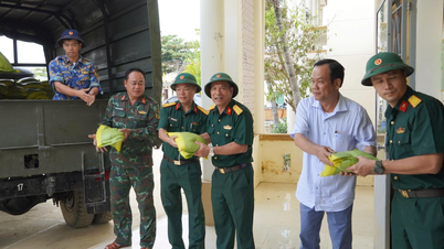 کالج فنی مرکزی از 5 تن برنج برای کمون دین دین و بخش باک نها ترانگ حمایت می‌کند.