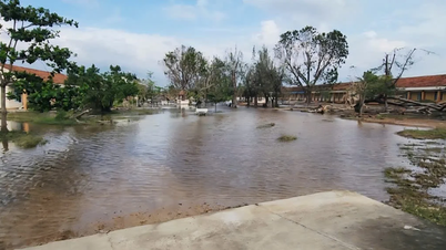 معاون وزیر لی تان دونگ: مدارس داک لک باید پس از سیل در آموزش انعطاف پذیر باشند