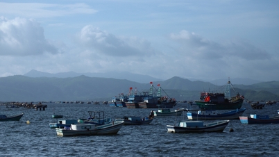 ដាកឡាក់ ហាមធ្វើដំណើរតាមសមុទ្រ ត្រៀមទប់ទល់នឹងព្យុះលេខ ១៥