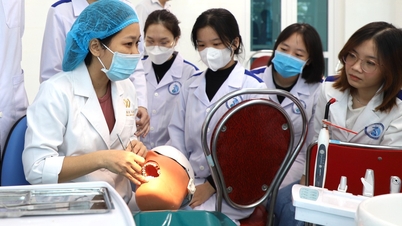 ໂຮງ​ຮຽນ​ການ​ແພດ​ໃຫມ່​ເພື່ອ​ຝຶກ​ອົບ​ຮົມ​ທ່ານ​ຫມໍ​, ໂຮງ​ຮຽນ​ກົດ​ຫມາຍ​ໃຫມ່​ເພື່ອ​ຝຶກ​ອົບ​ຮົມ​ຜູ້​ຮຽນ​ຈົບ​ກົດ​ຫມາຍ​, ສະ​ຫນັບ​ສະ​ຫນູນ​, ຄວາມ​ກັງ​ວົນ​