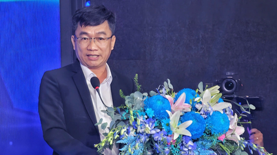 សហគ្រាសកូរ៉េជាង ៤០០ ស្វែងរកដៃគូ ទីក្រុងហូជីមិញមានបំណងក្លាយជាមជ្ឈមណ្ឌលនវានុវត្តន៍ក្នុងតំបន់