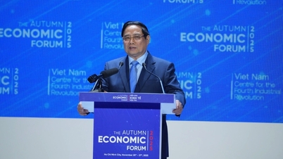 وزیر اعظم: ویتنام خطے کی "گرین اور ڈیجیٹل لیبارٹری" بننے کے لیے تیار ہے