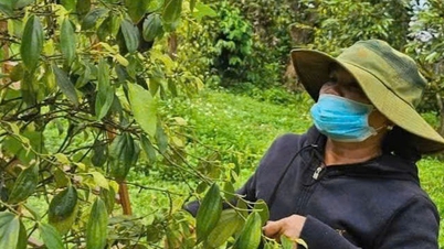 Fünf milliardenschwere Industrieverbände fordern die Nationalversammlung auf, Schwierigkeiten bei der Mehrwertsteuerfrage zu beseitigen.