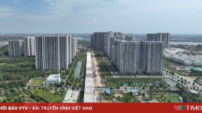 ឆ្ពោះទៅទិសខាងត្បូងក្នុងដំណាក់កាលសំខាន់នៃហេដ្ឋារចនាសម្ព័ន្ធនៅភាគខាងកើតនៃទីក្រុងហូជីមិញ អ្នកវិនិយោគភាគខាងជើង “ប្រមូលផលផ្លែផ្អែម”