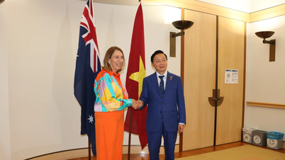 베트남, 뉴질랜드·호주와 실질적 협력 강화