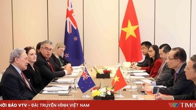 នូវែលសេឡង់ផ្តល់ជំនួយចំនួន 3 លាន NZD ដល់ប្រទេសវៀតណាម ដើម្បីជម្នះផលវិបាកនៃព្យុះ និងទឹកជំនន់