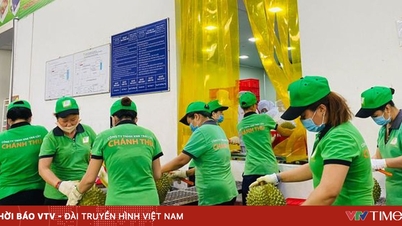 Vietnami gyümölcsök és zöldségek: Rekord 7 milliárd dolláros forgalmat ünnepelnek, és meghódítják az amerikai és az uniós piacokat.