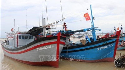 طوفان شماره ۱۵: داک لک ممنوعیت تردد دریایی اعلام کرد