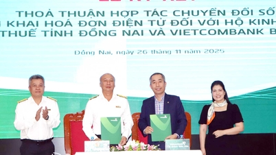 Cooperate in digital transformation, deploy electronic invoices for business households