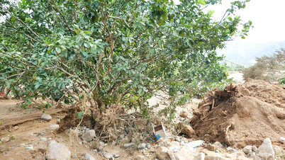 Chraňte zemědělskou produkci, abyste snížili dvojí ztráty