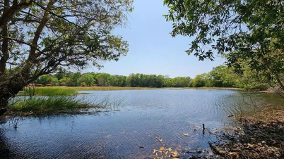 Cagar Alam Binh Chau-Phuoc Buu memperingatkan bahaya tenggelam