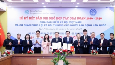 Việt Nam - Hàn Quốc: Hợp tác chuyển đổi số lĩnh vực bảo hiểm xã hội