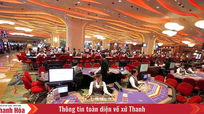 ចាប់ពីថ្ងៃទី 26 ខែវិច្ឆិកា ប្រជាជនវៀតណាមមានសិទ្ធិចូលលេងកាស៊ីណូនៅ Phu Quoc, Ho Tram, Van Don