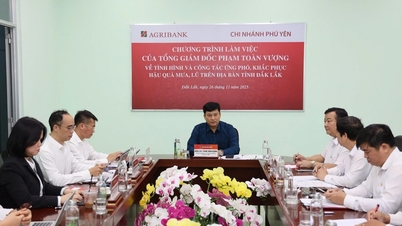 Agribank-Generaldirektor Pham Toan Vuong begutachtet die Hochwasserhilfemaßnahmen