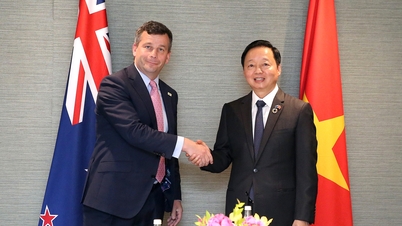 न्यूजीलैंड, ऑस्ट्रेलिया ने तूफान और बाढ़ के परिणामों से निपटने के लिए वियतनाम का समर्थन किया