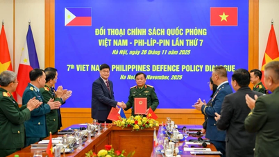 تتشاور فيتنام والفلبين بشكل نشط وتدعم كل منهما الأخرى في إطار رابطة دول جنوب شرق آسيا العسكرية والدفاعية.